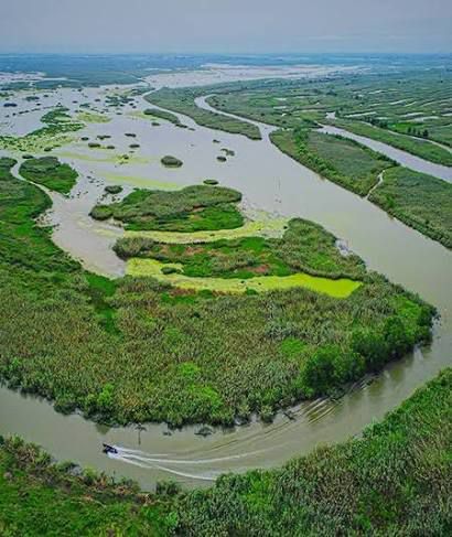 رئیس سازمان جهاد کشاورزی گیلان خبر داد: اجرای پروژه حفاظت از تالاب انزلی در فاز کشاورزی پایدار