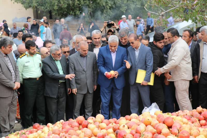 جشنواره شکرانه برداشت انار در روستای انبوه رودبار برگزار شد
