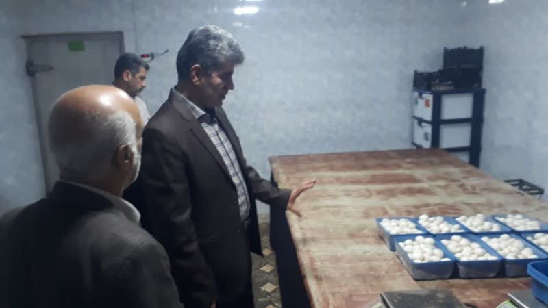 بازديد رئيس سازمان جهاد کشاورزي گيلان از کارخانه توليد قارچ املش