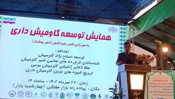 بیمه دامداران گیلانی دارای نژاد اصلاح شده گاومیش ۲۰ درصدکاهش می یابد