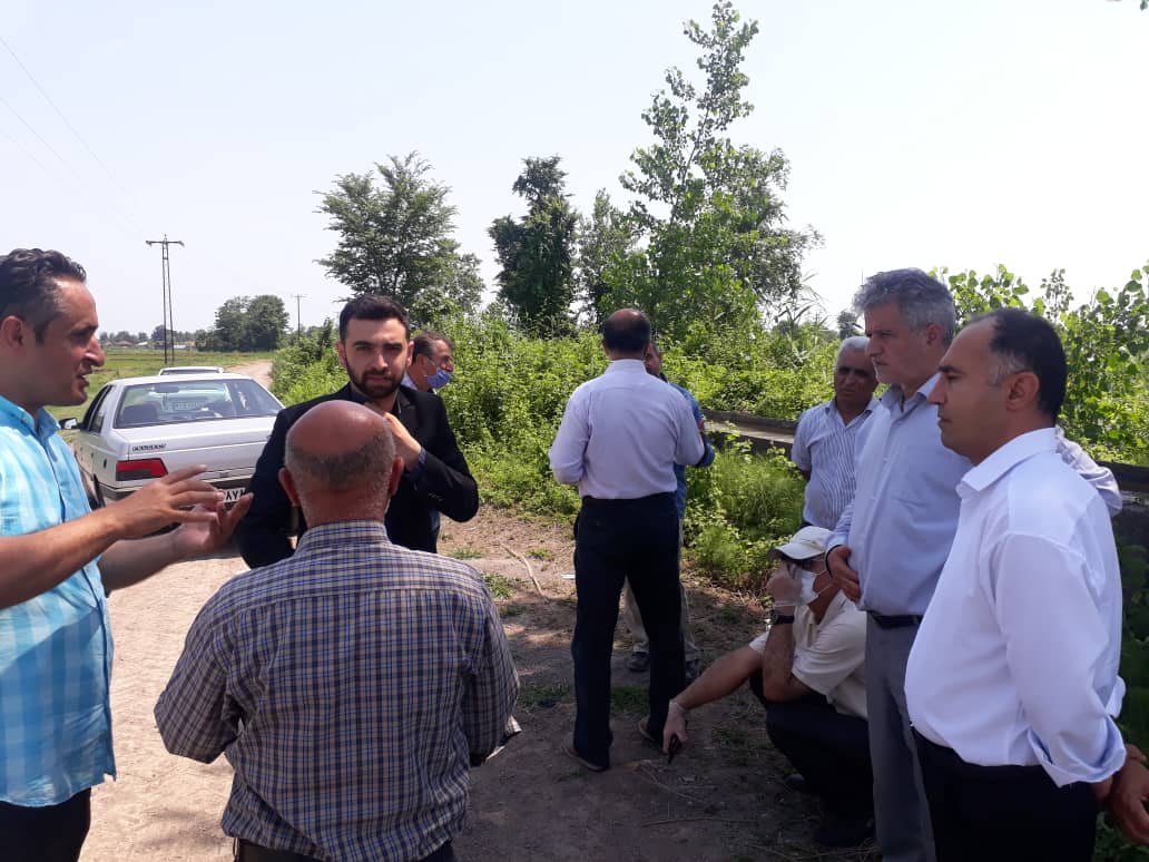 بازدید از مزارع روستای پاشاکی بالا در شهرستان لاهیجان