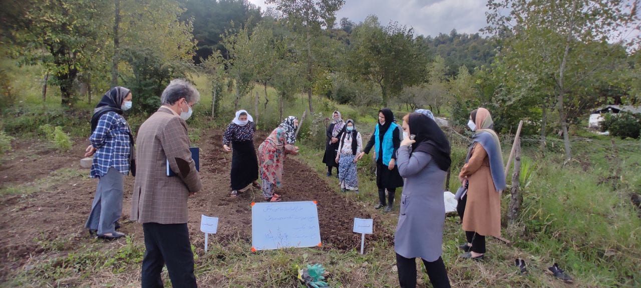 اجرای طرح باغچه خانگی در شهرستان تالش 