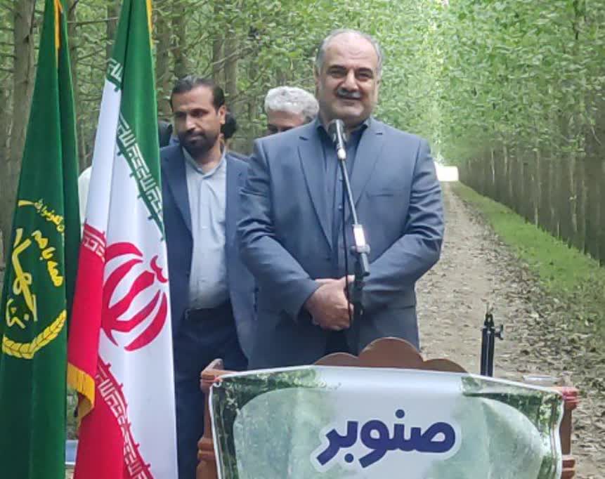 مجری طرح ملی زراعت چوب در گيلان : زراعت چوب طرح زراعتی محسوب می شود