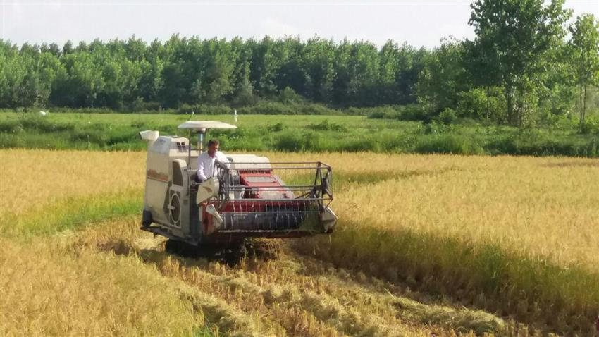 جذب بیش از 37 میلیاردی تسهیلات بانکی توسعه مکانیزاسیون کشاورزی در شفت