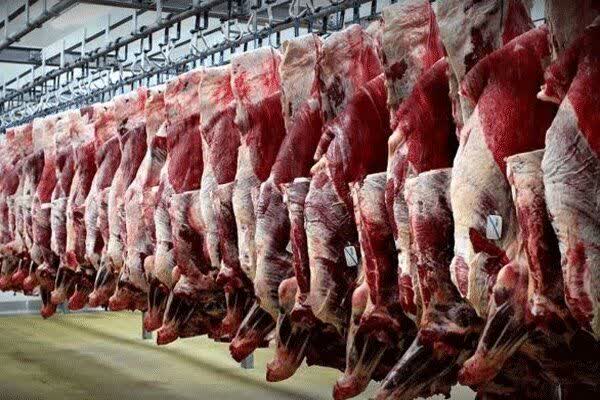 ۱۲۵ تن گوشت قرمز گرم وارداتی در گیلان توزیع شد